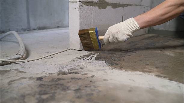 24/7 Emergency Wet Basement Repair experts in Taft, TN